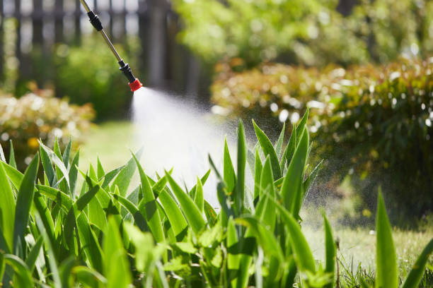24/7 Emergency Fumigation Services experts in Manning, SC